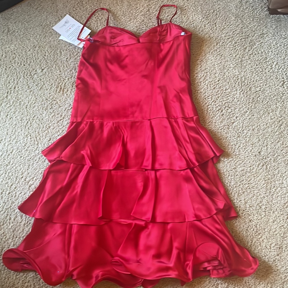 Red Silk Dress - Picture 5 of 11